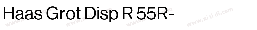 Haas Grot Disp R 55R字体转换 Haas Grot Disp R 55R字体转换